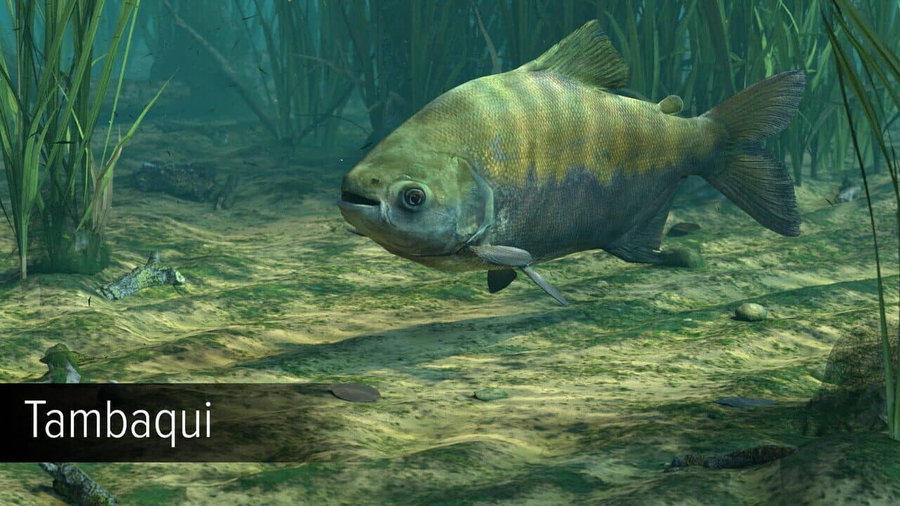 Ultimate Fishing Simulator VR: Amazon River thumbnail 19