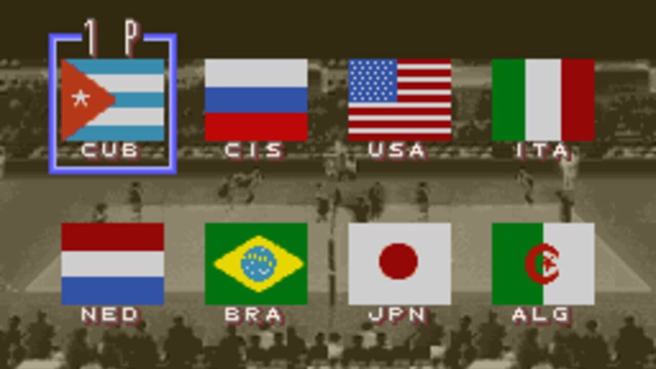 Dig & Spike Volleyball thumbnail 9