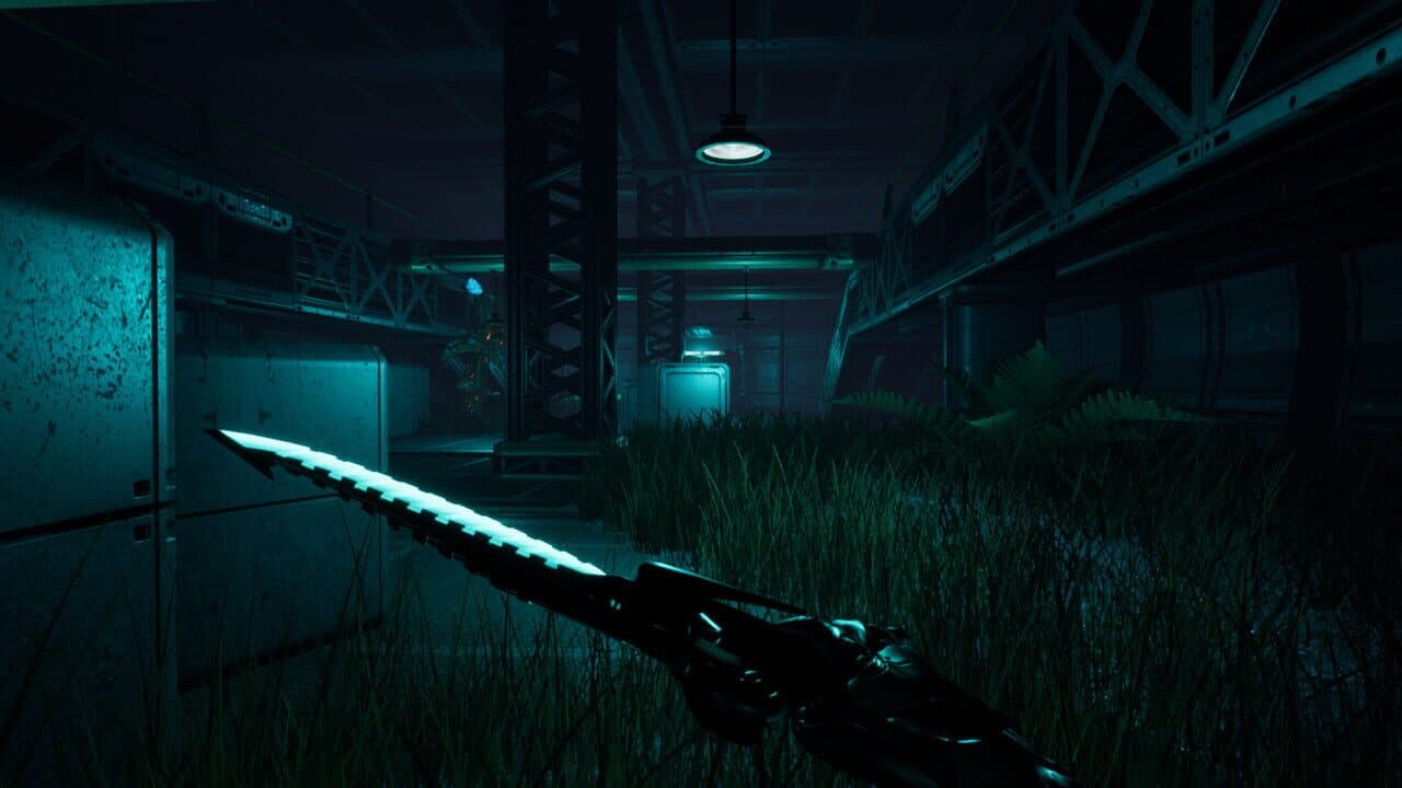 Edge of Dreams thumbnail 8