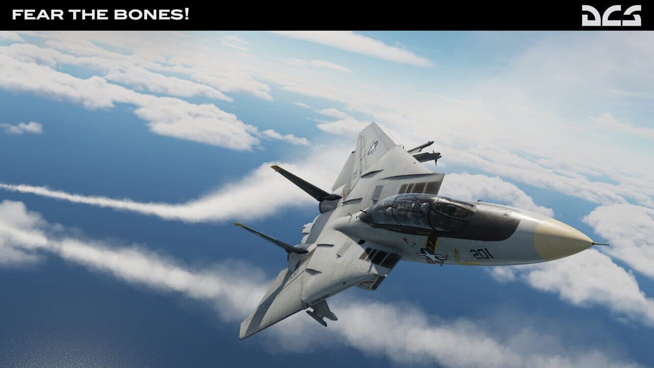 DCS World: F-14A Fear the Bones Campaign thumbnail 4