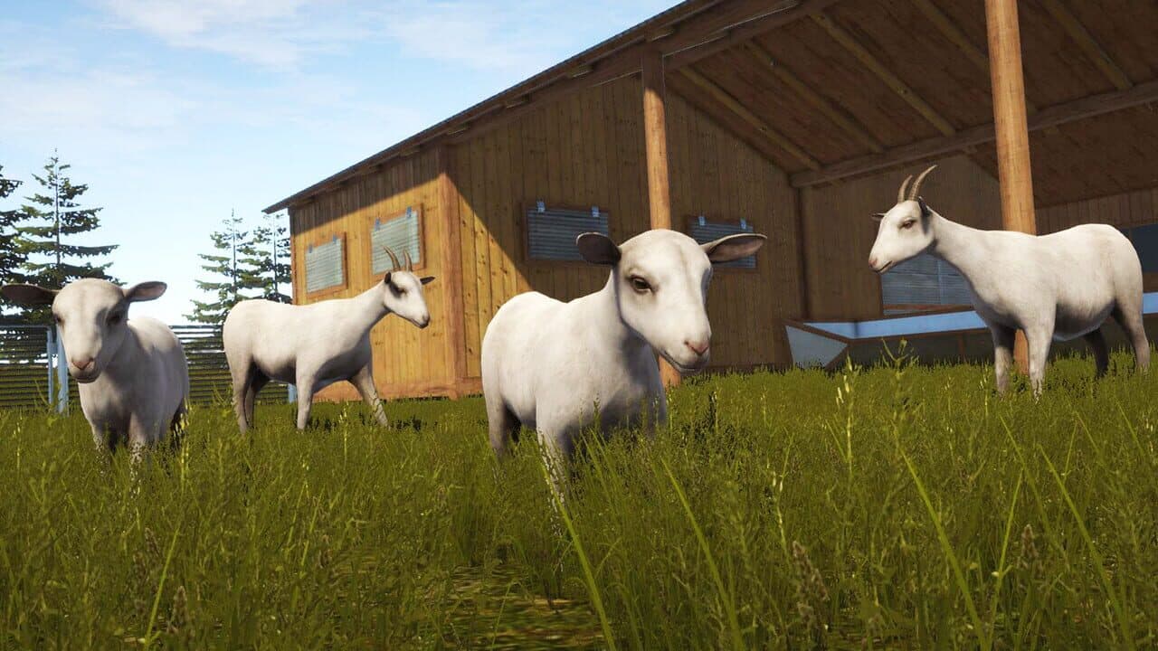 Pure Farming 2018: Montana Goats screenshot 1