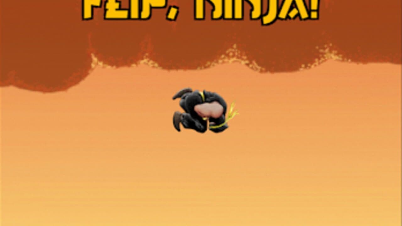 Flippin Ninjas thumbnail 2