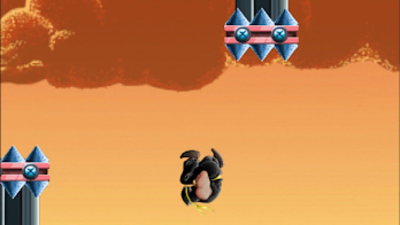 Flippin Ninjas thumbnail 4