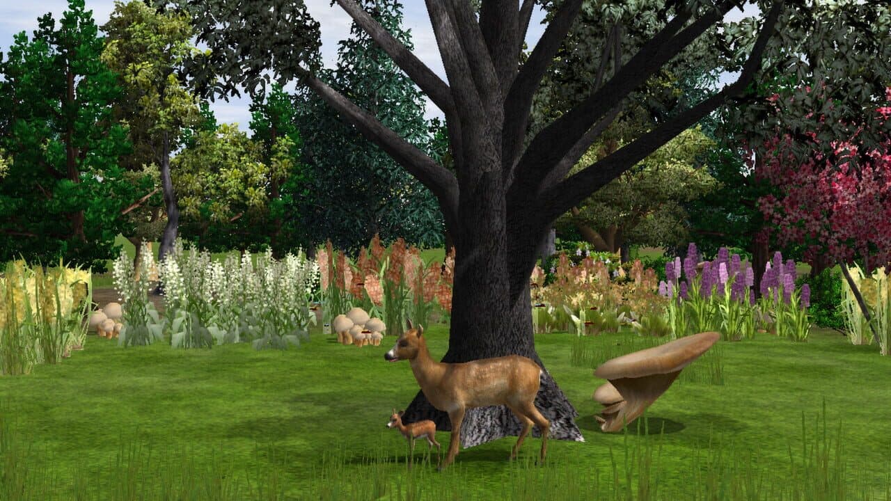 Wildlife Park 2: Kitz (fawn) screenshot 1