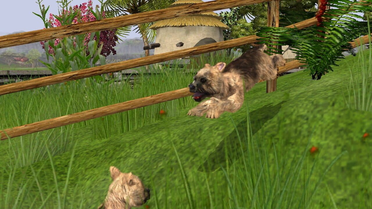 Wildlife Park 2: Domestic Animals thumbnail 2