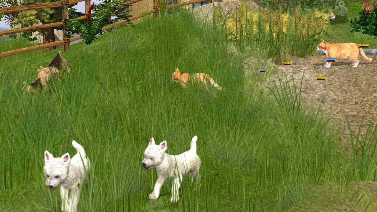 Wildlife Park 2: Domestic Animals thumbnail 3