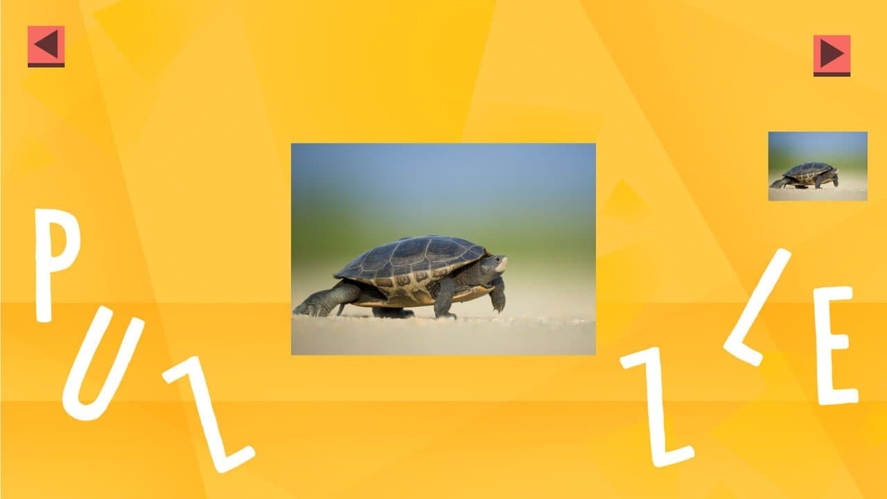 Game of Puzzles: Animals thumbnail 2