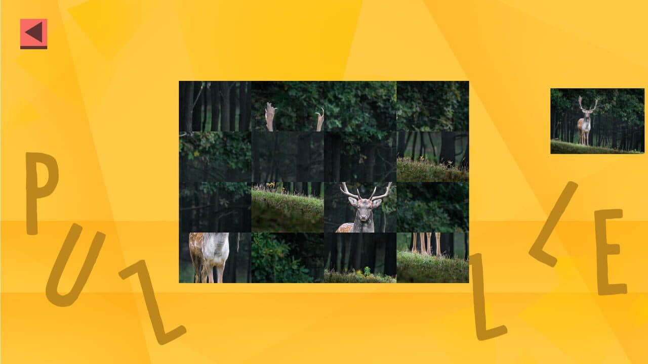Game of Puzzles: Animals - Expansion Pack thumbnail 3