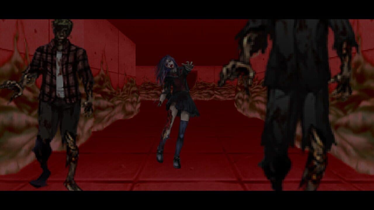 Evening Starter thumbnail 4
