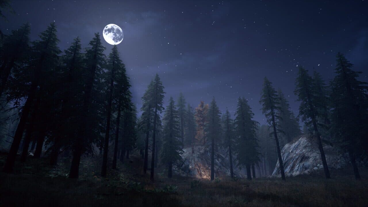 Nightwalker thumbnail 3