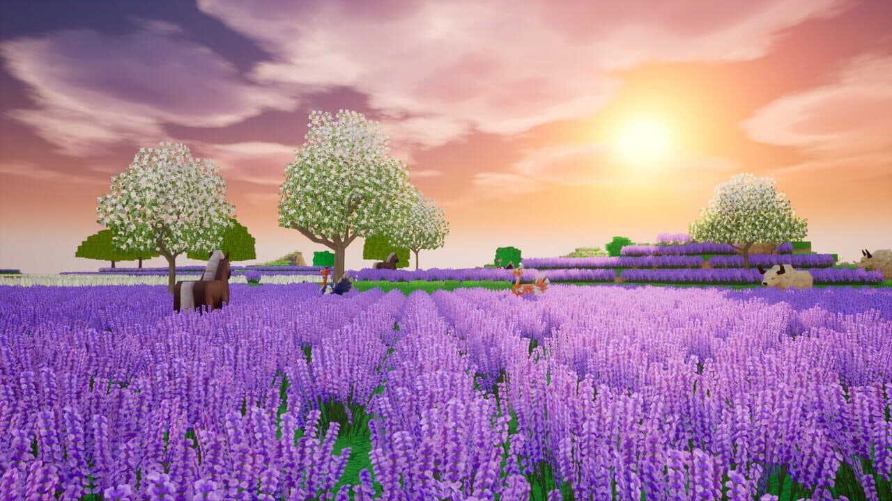 Dragon and Home screenshot 1