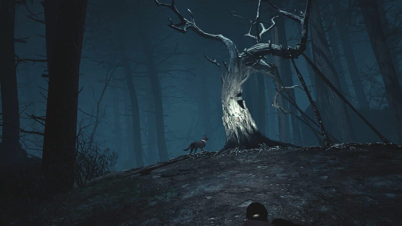 Blair Witch VR thumbnail 4