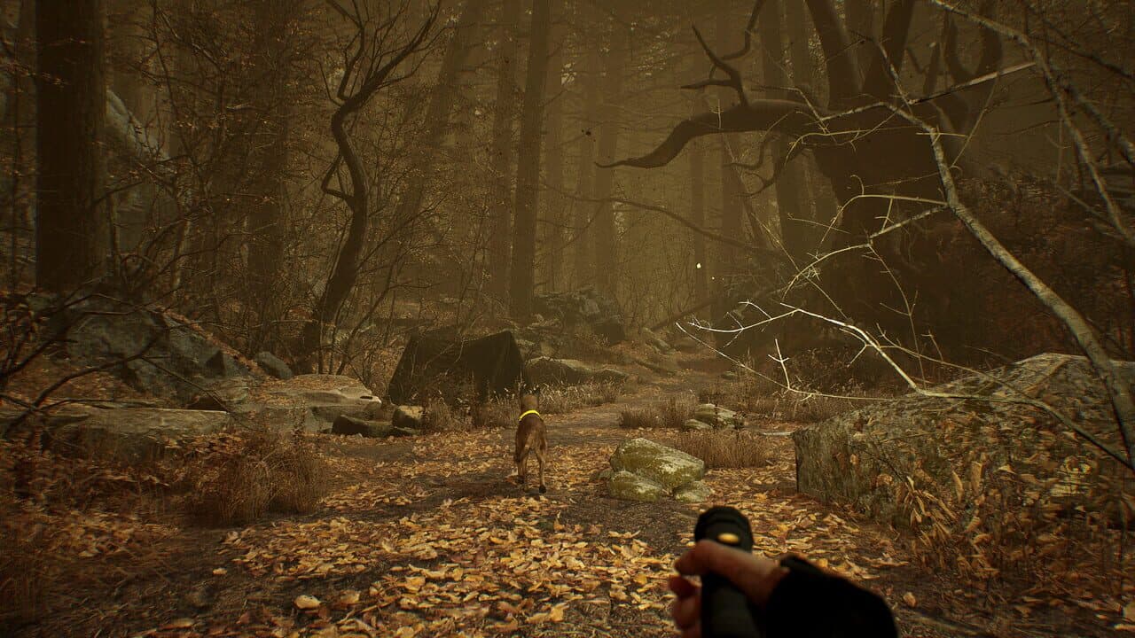 Blair Witch VR thumbnail 5