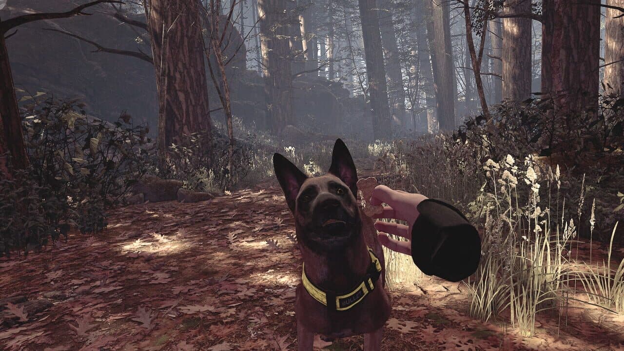 Blair Witch VR thumbnail 9