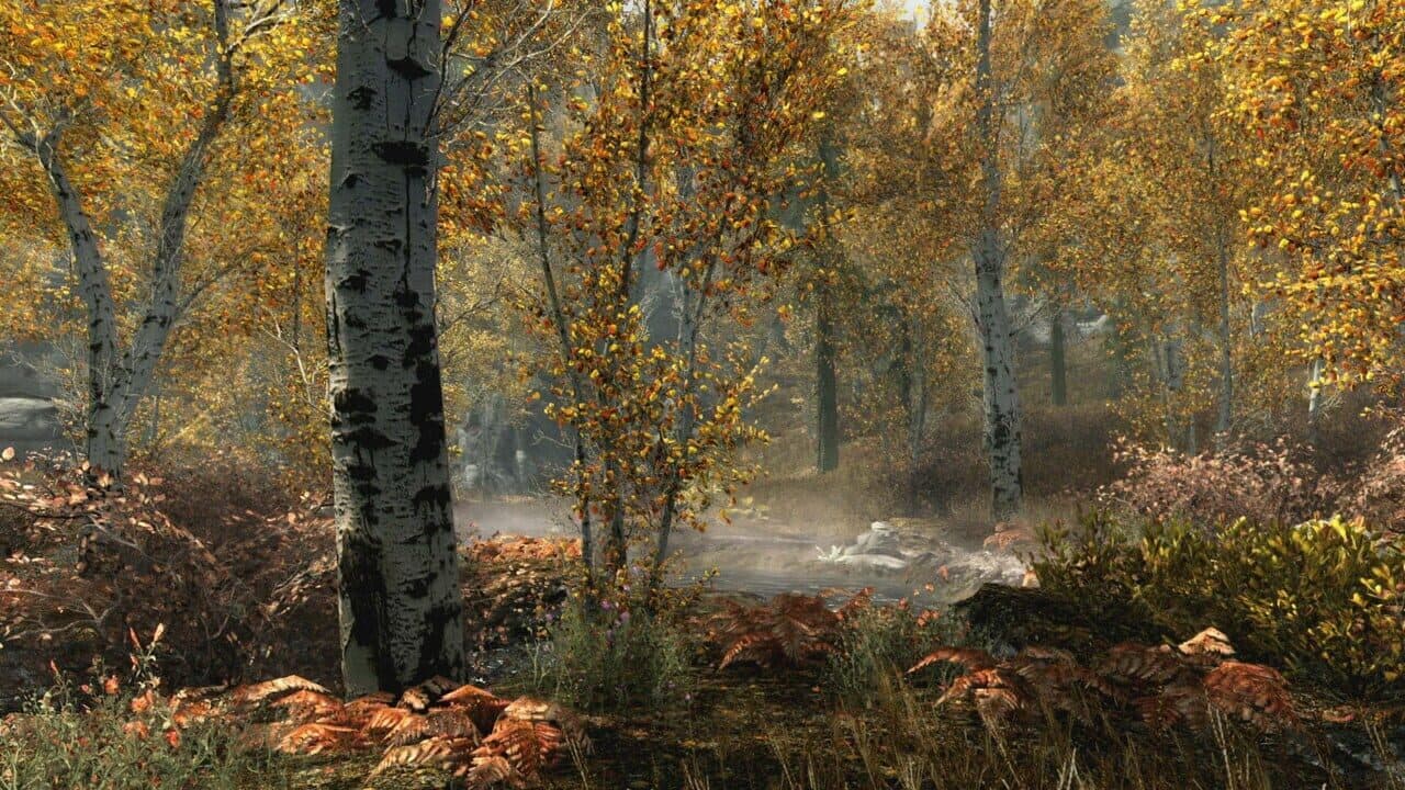 Skyrim Special Edition + Fallout 4 G.O.T.Y Bundle thumbnail 9