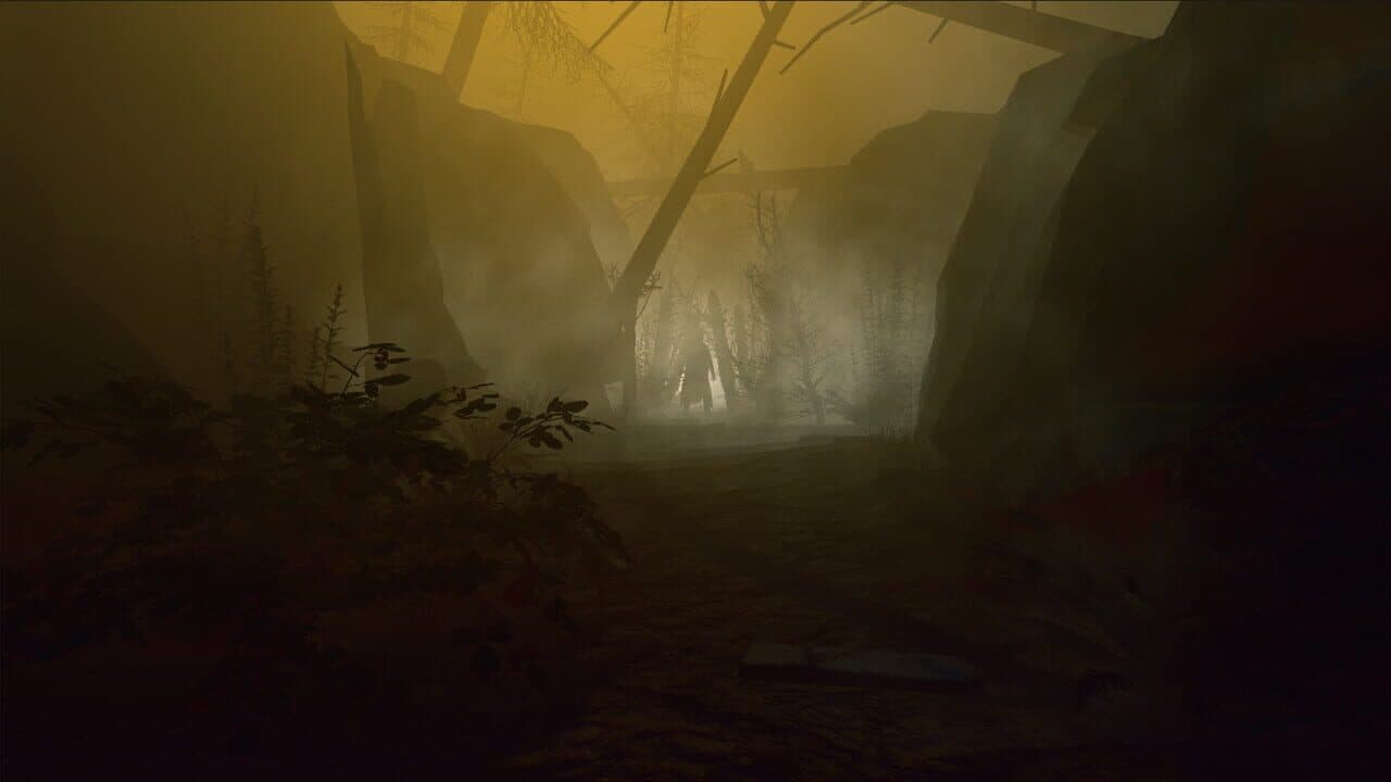 Dark Forest: Lost Story VR thumbnail 4