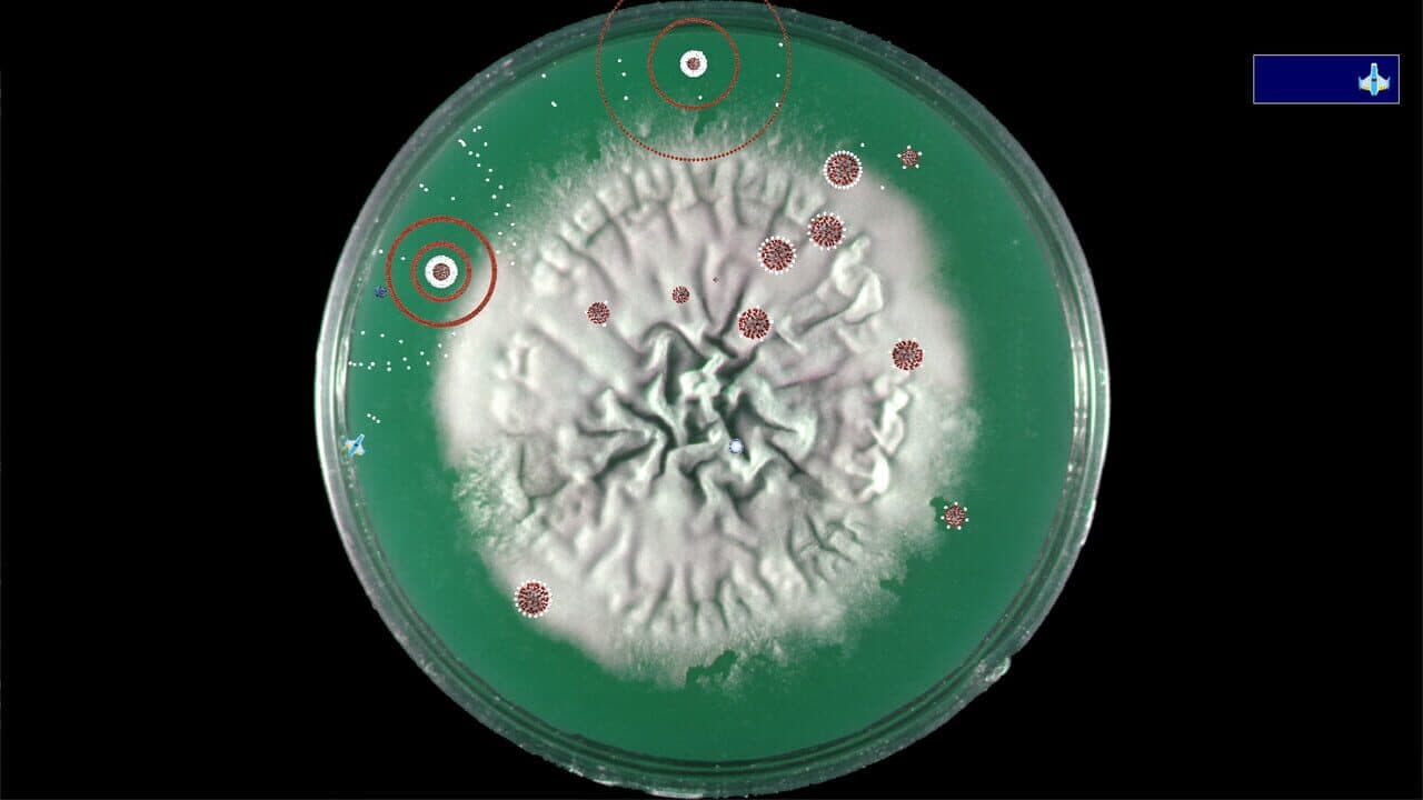 Coronavirus: Nano Force thumbnail 6