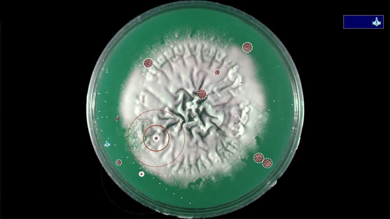 Coronavirus: Nano Force thumbnail 7