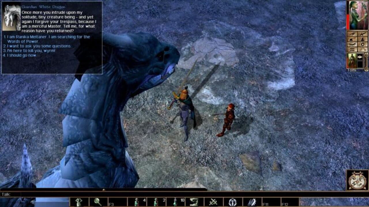 Beamdog Ultimate Collector's Pack thumbnail 3