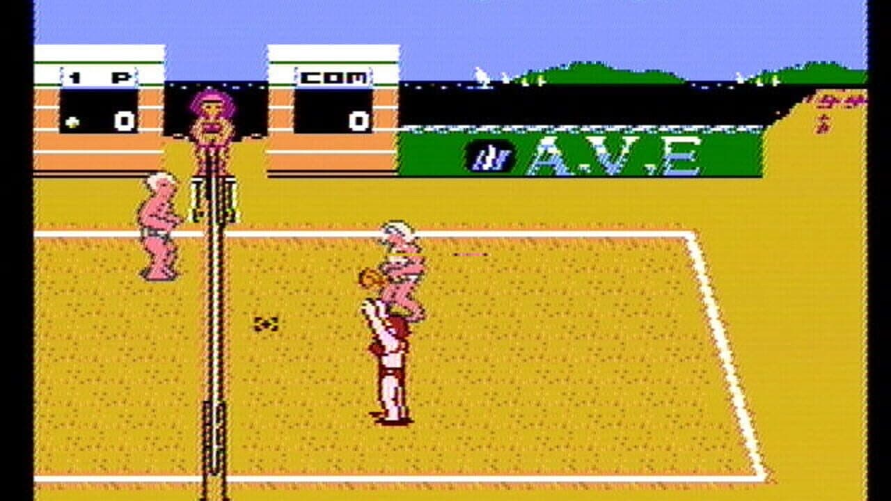 Venice Beach Volleyball thumbnail 4