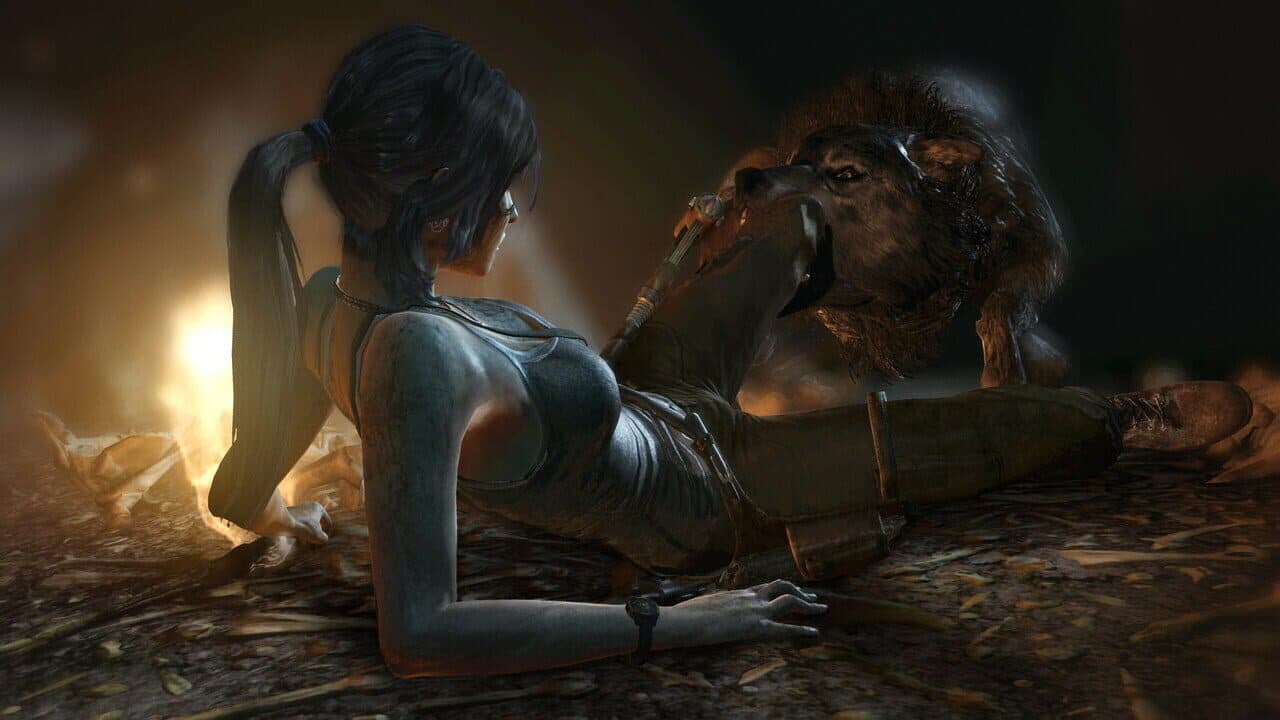 Tomb Raider: Game of the Year Edition thumbnail 3