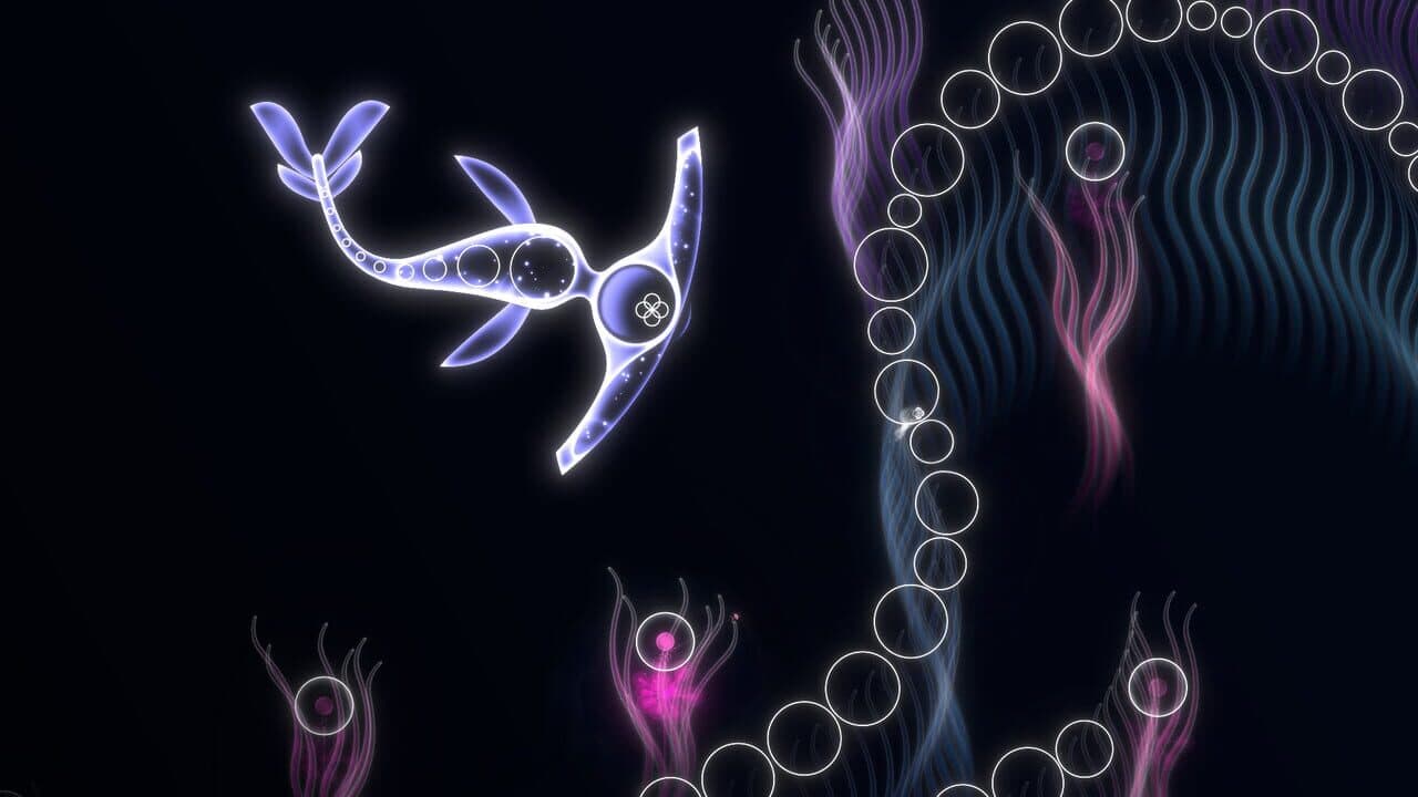 Onde thumbnail 5