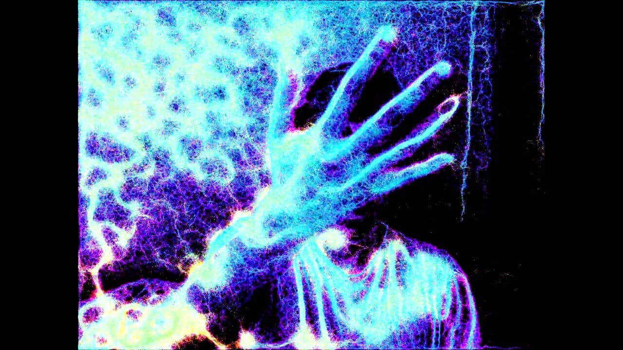 Physarum: Slime Mold Simulator thumbnail 2