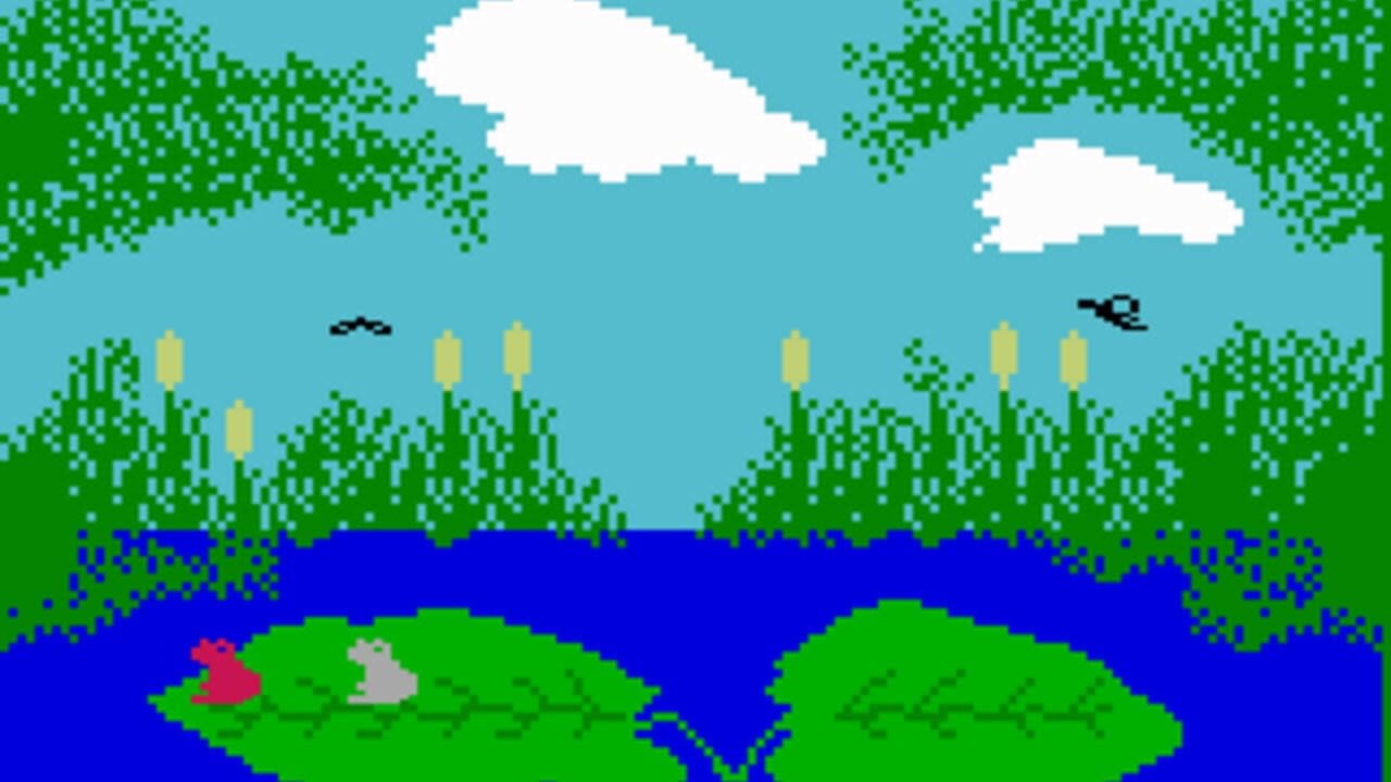 Frog Bog thumbnail 2