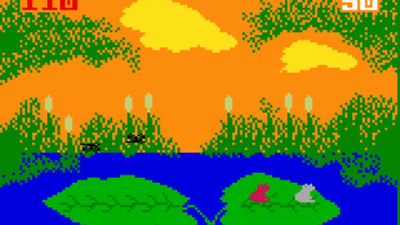Frog Bog thumbnail 5