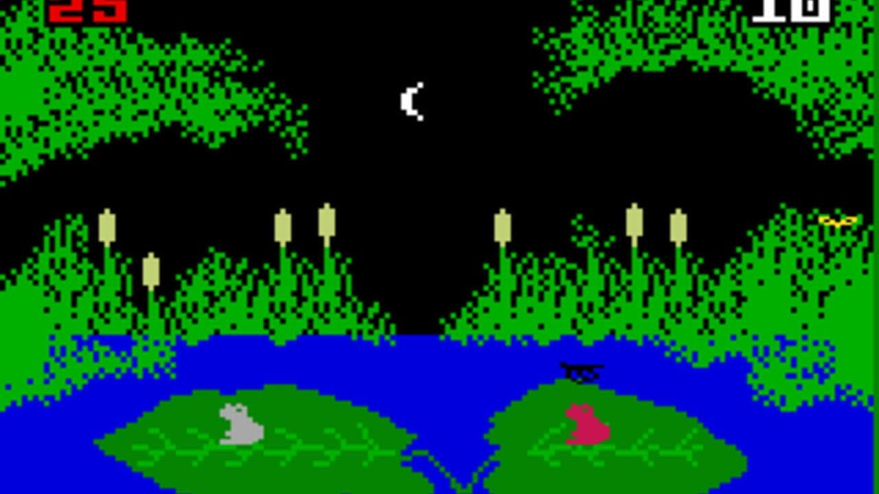 Frog Bog thumbnail 6