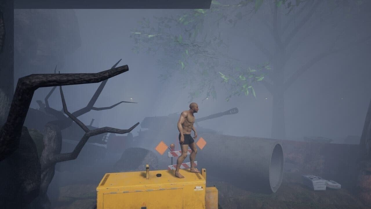 Mainly at Rest thumbnail 8