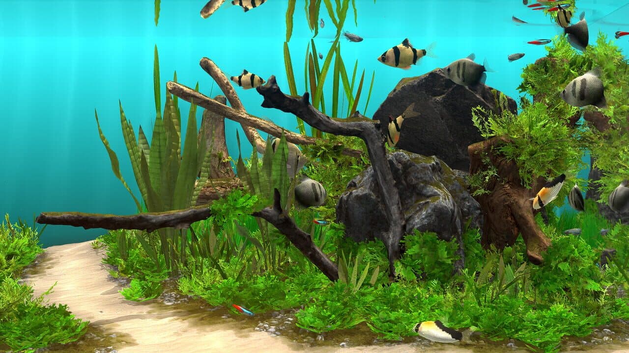Behind Glass: Aquarium Simulator thumbnail 3