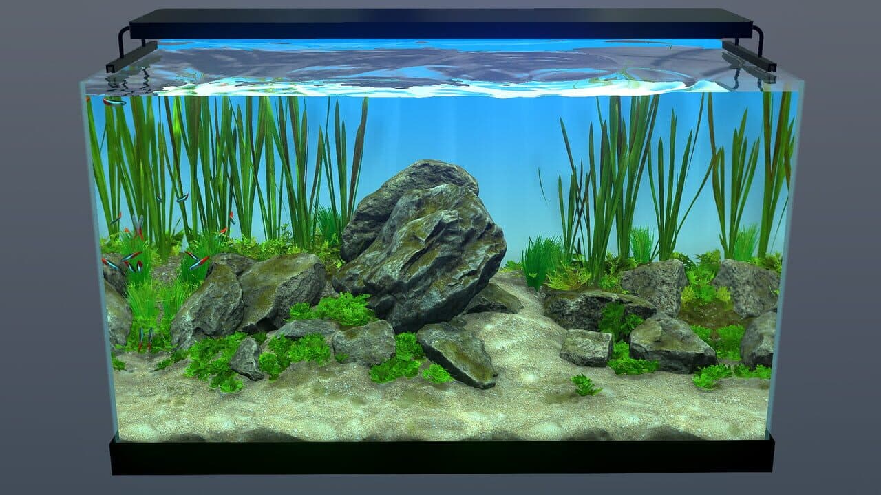Behind Glass: Aquarium Simulator thumbnail 6