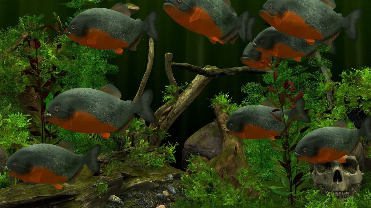Behind Glass: Aquarium Simulator screenshot 1