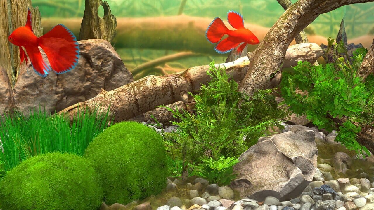 Behind Glass: Aquarium Simulator thumbnail 8