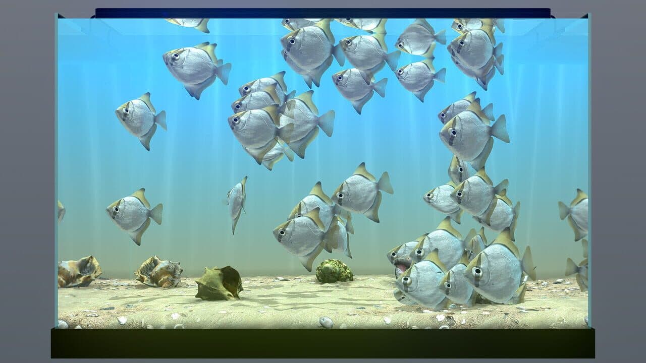 Behind Glass: Aquarium Simulator thumbnail 9