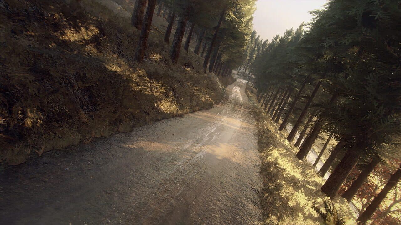 Dirt Rally 2.0: Colin McRae - Flat Out Pack thumbnail 3