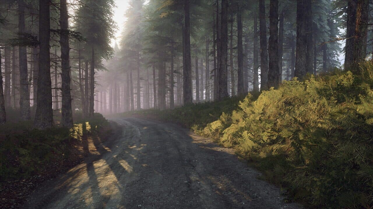 DiRT Rally 2.0: Wales (Rally Location) thumbnail 9