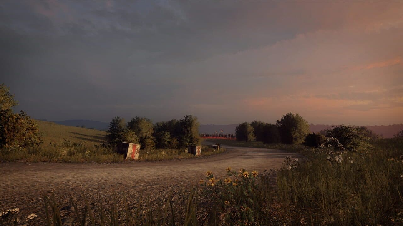DiRT Rally 2.0: Germany (Rally Location) thumbnail 3