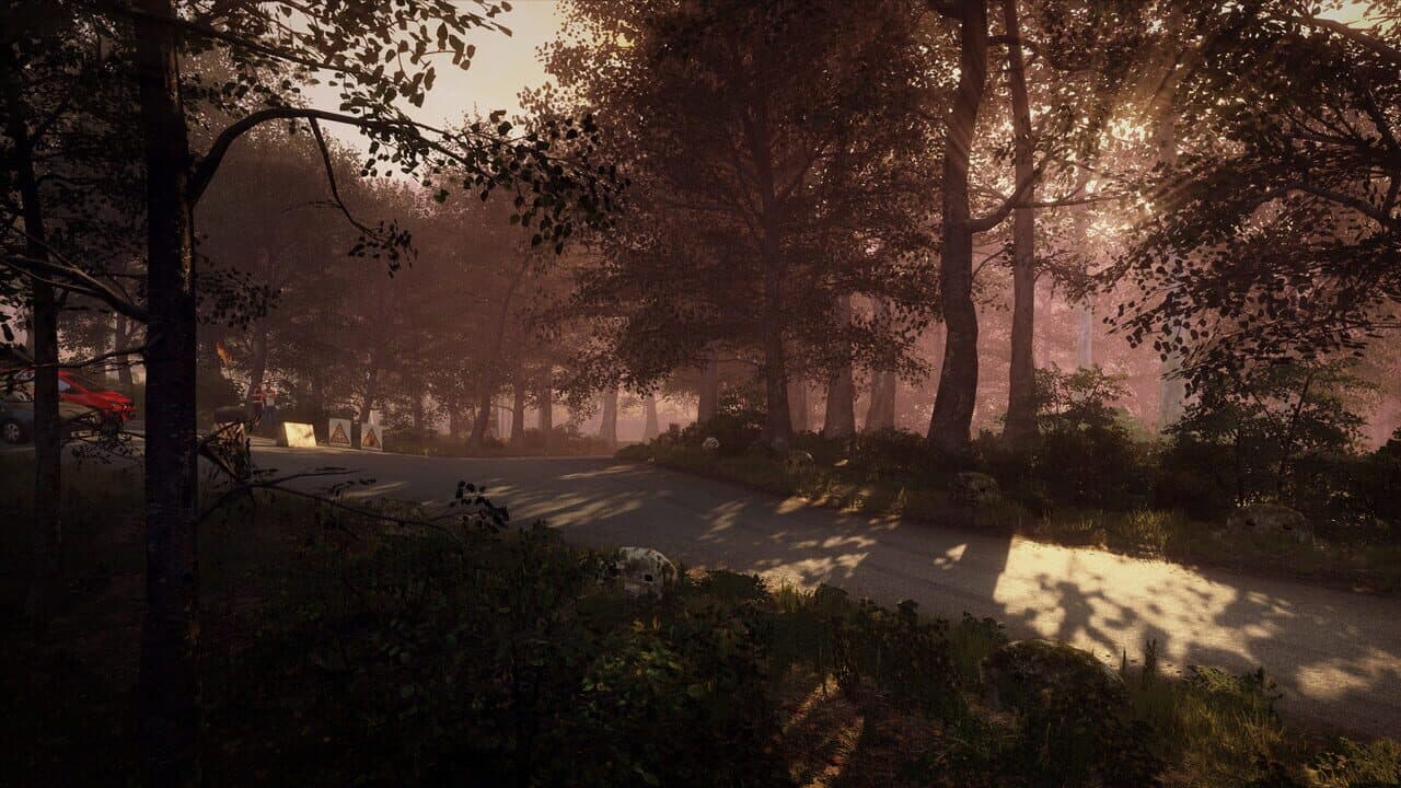 DiRT Rally 2.0: Germany (Rally Location) thumbnail 7