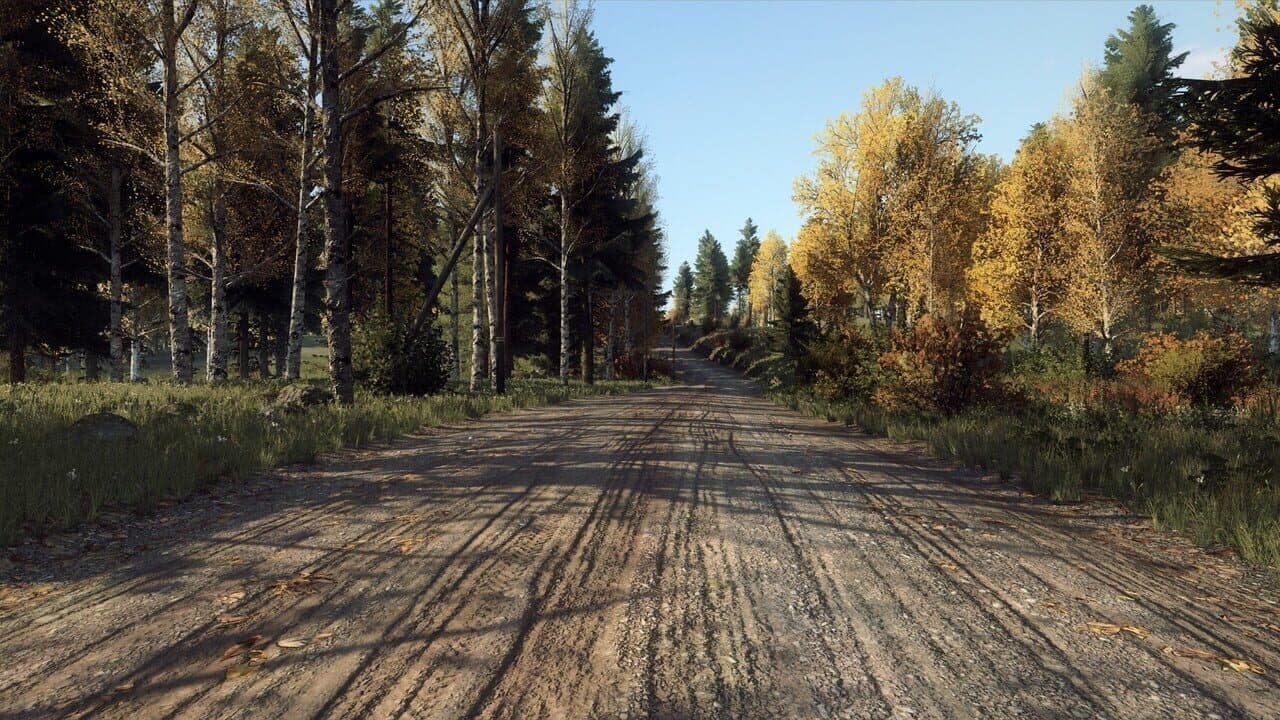 DiRT Rally 2.0: Finland (Rally Location) thumbnail 3