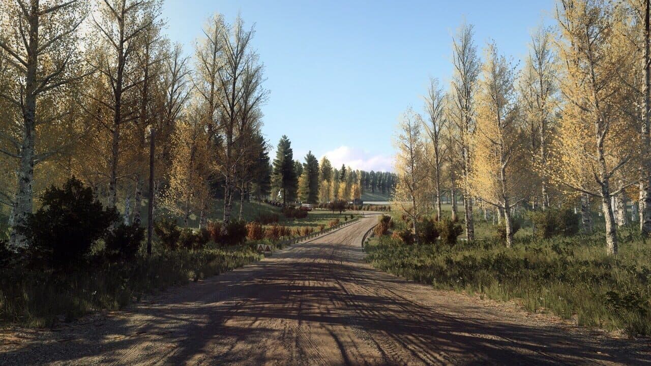 DiRT Rally 2.0: Finland (Rally Location) thumbnail 4