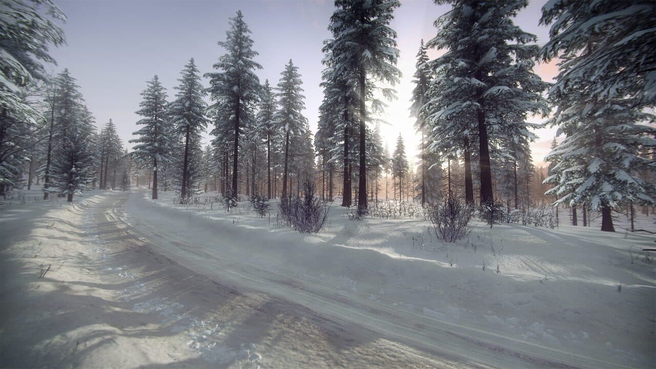 DiRT Rally 2.0: Sweden (Rally Location) thumbnail 5