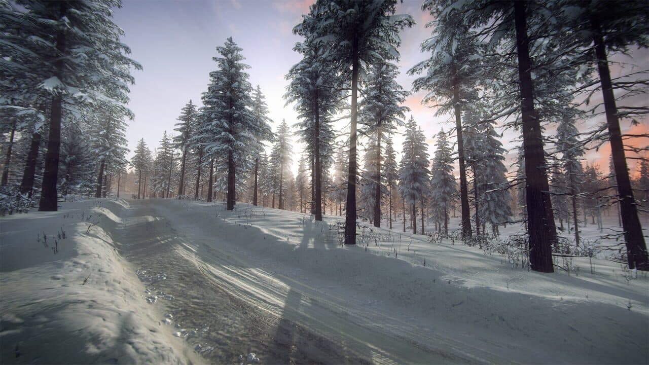 DiRT Rally 2.0: Sweden (Rally Location) thumbnail 6