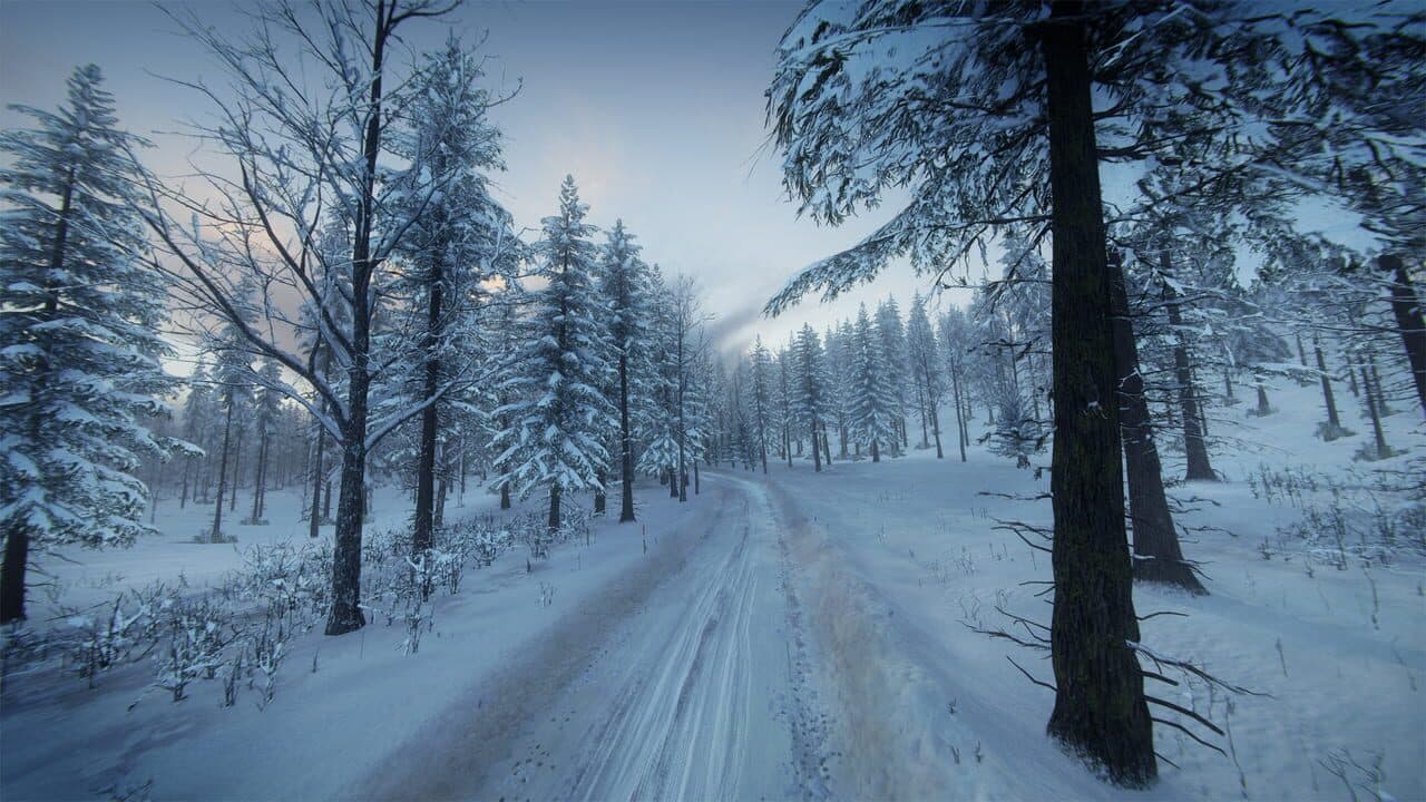 DiRT Rally 2.0: Sweden (Rally Location) thumbnail 7