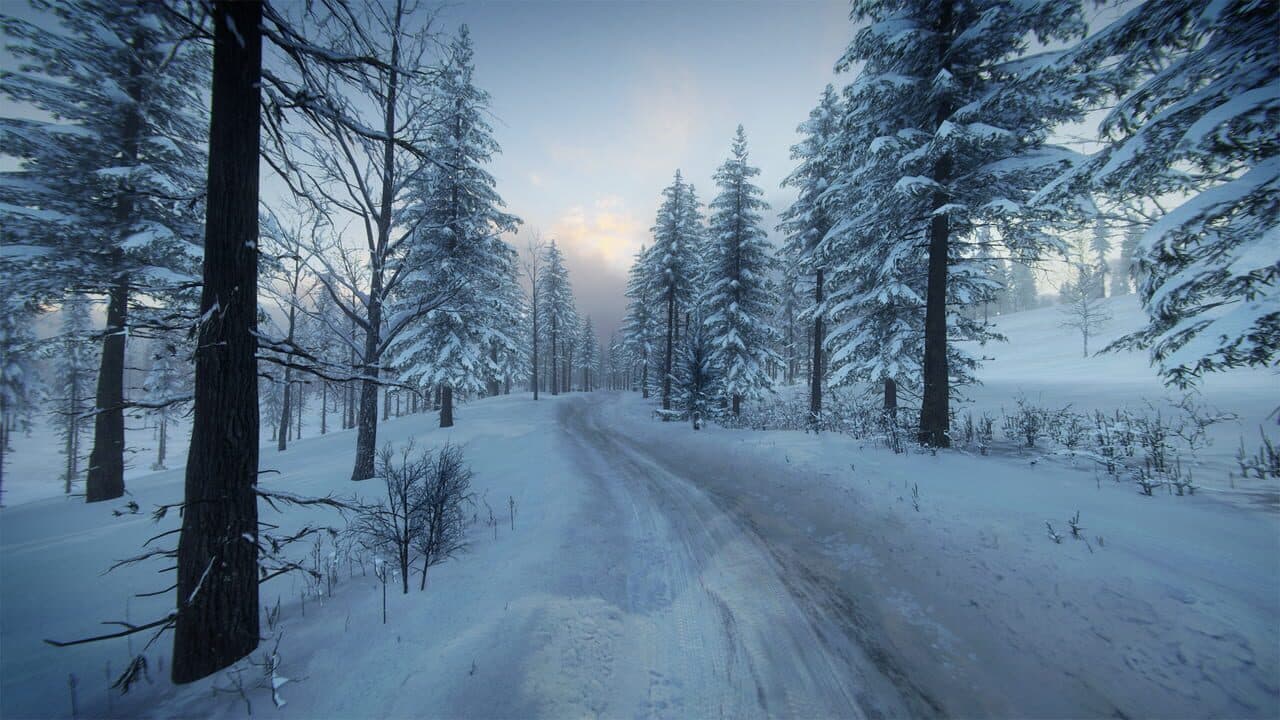 DiRT Rally 2.0: Sweden (Rally Location) thumbnail 8