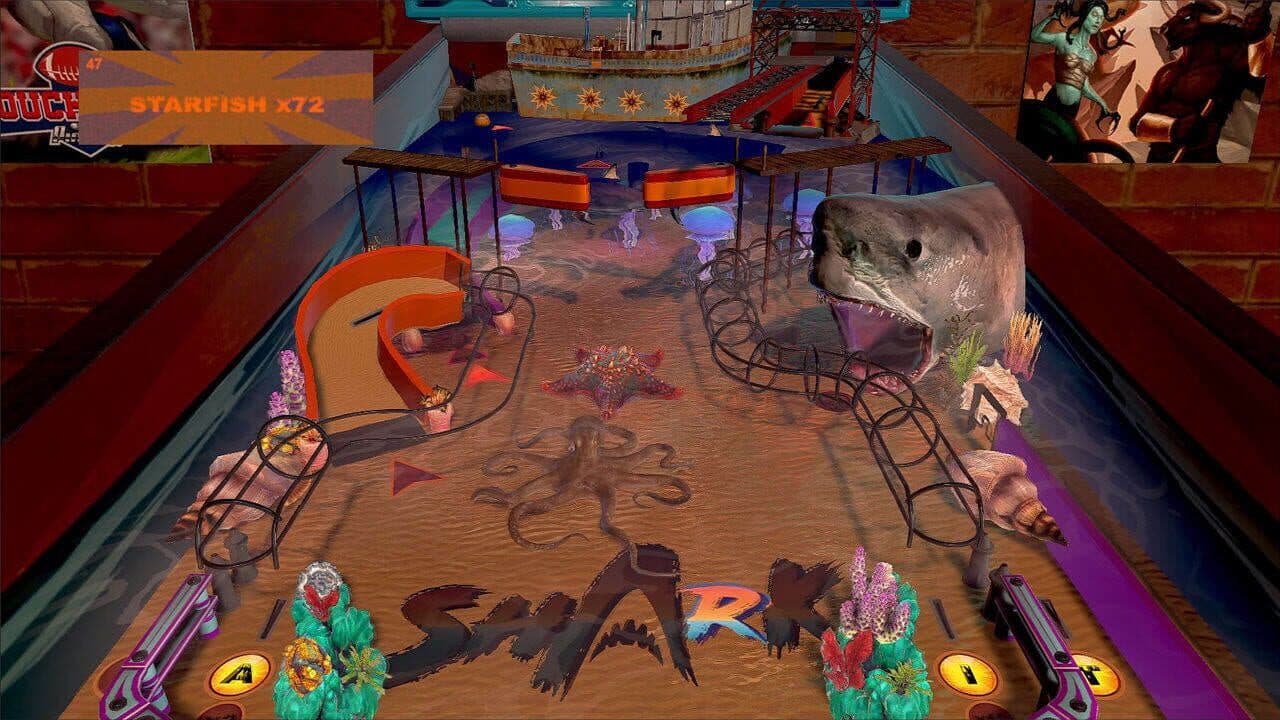 Wild Pinball Bundle thumbnail 5
