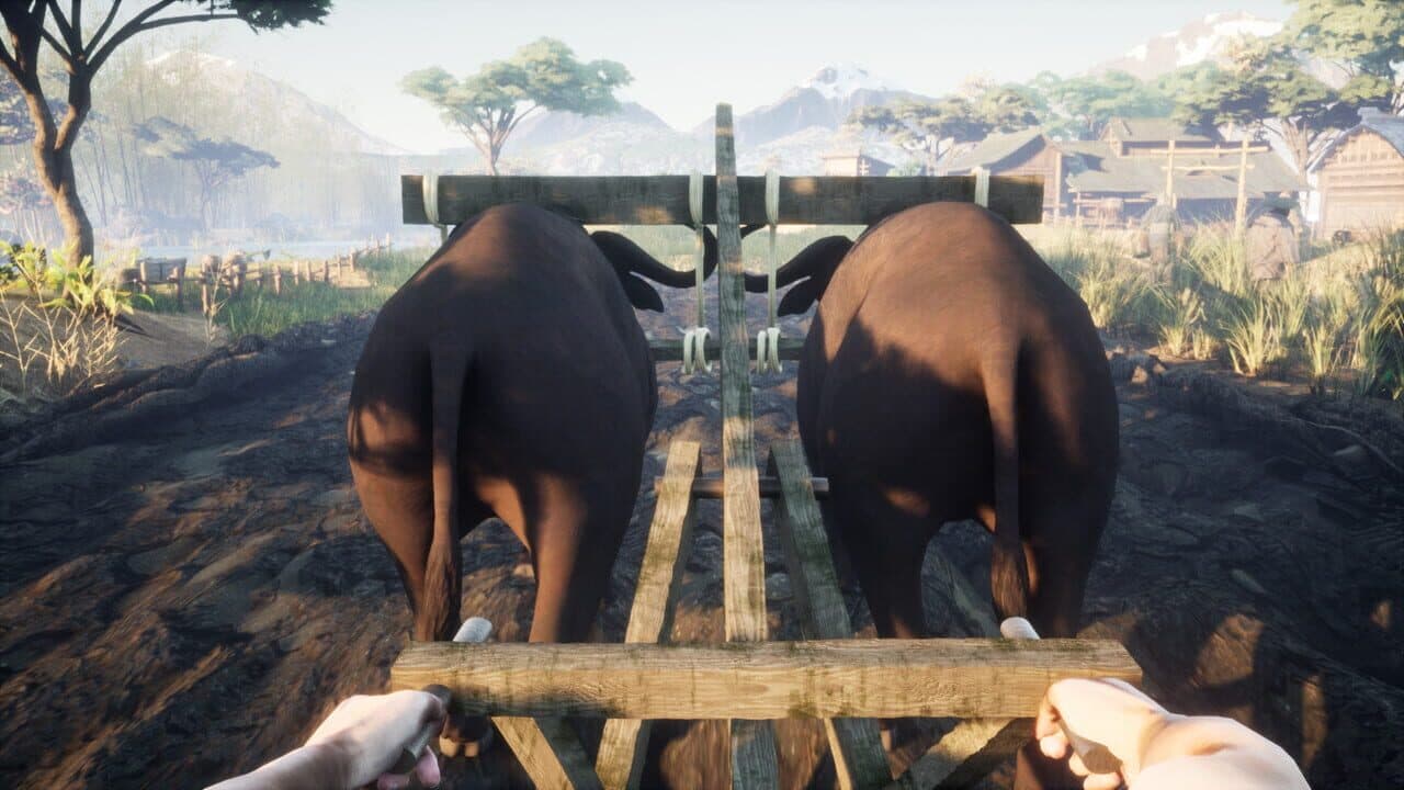 Chinese Frontiers thumbnail 8