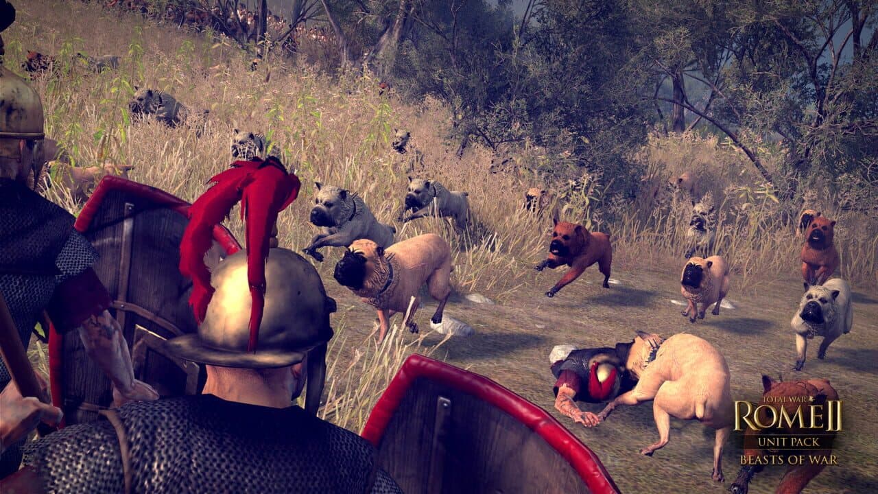Total War: Rome II - Unit Pack: Beasts of War thumbnail 6