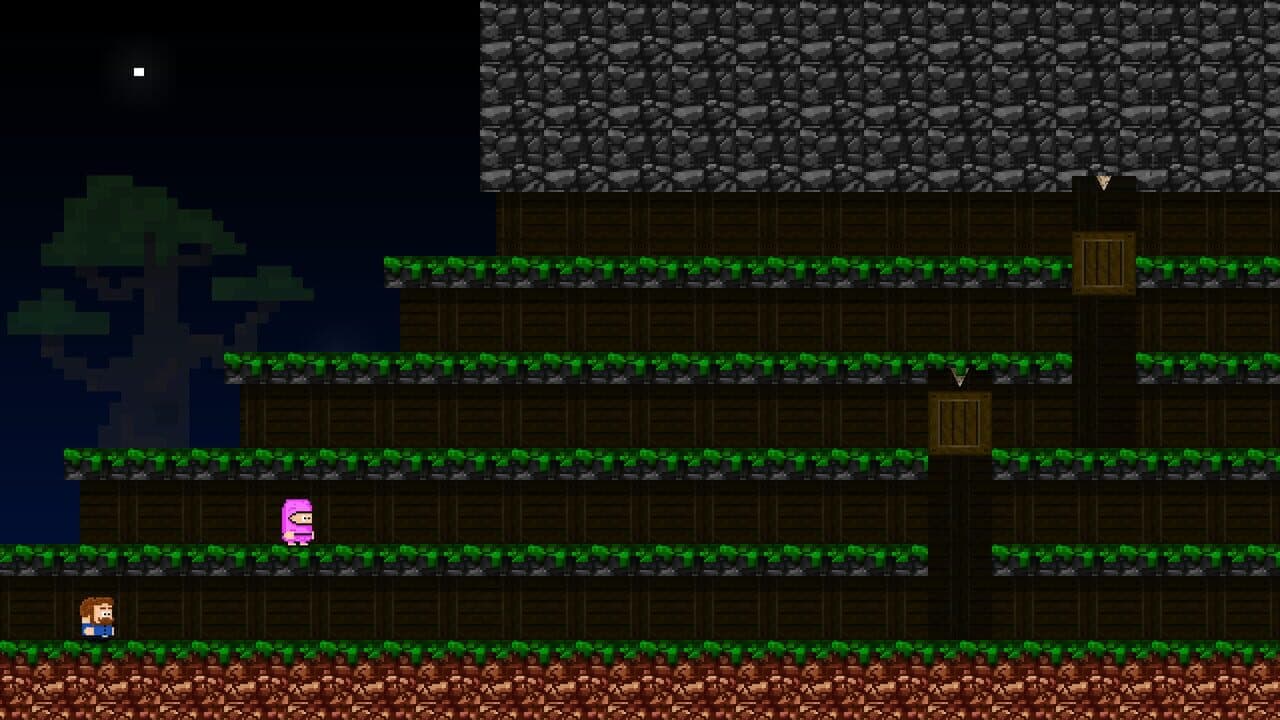 8Bit Fiesta: Game Pack 1 thumbnail 7